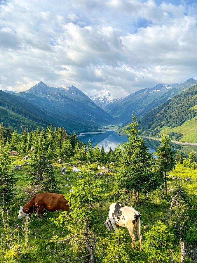 Schmezlhof Lägenhet Zell am Ziller Exteriör bild